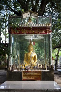 Seated golden thai Buddha in a glass enclosure.