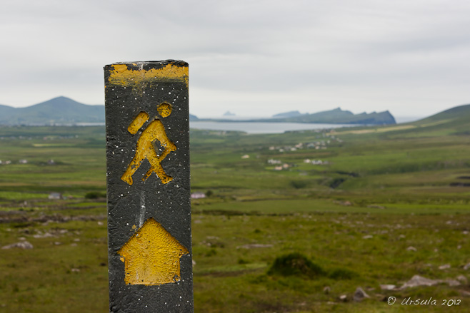 Yellow "Walking Man" on a black signpost, on Mt Brandon, overlooking Smerwick Harbour, Ireland.