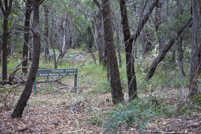 National Parks walking sign-board to the Pinnacles, Ben Boyd NP