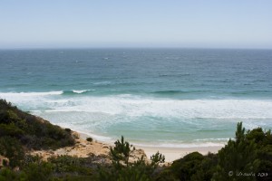 Landscape: view down over Long Beach from the walking track