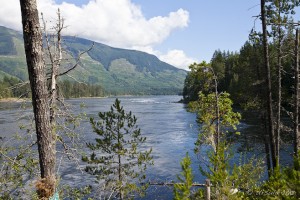 Landscape: View of Skookumchuk Narrows from the south.