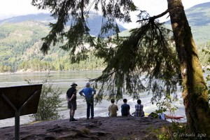 Silhouetted behind trees, people watching over the churning water of Skookumchuk, BC.