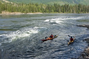 Kayaks paddling into the eddies of a flooding tide.