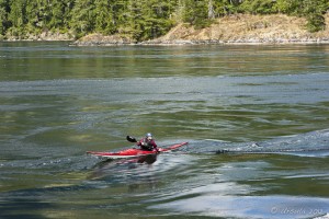 Kayaker on silky waters hiding the strong currents of Skookumchuck, BC