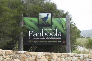 Entry signpost: Panboola Wetlands, Pambula, NSW