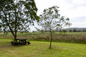 Picnic Table on a green lawn against a green field, Pamboola, NSW, AU