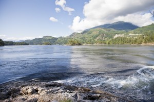 Landscape: view of the tide line from Roland Point.