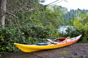 Yellow Kayak on bare ground, Pacific Northwest woods in the background.