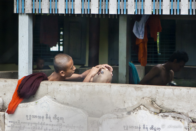 View of young monks behind a half wall: one shaving the other