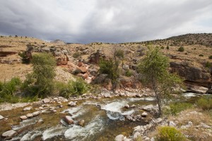 Landscape: the rushing waters of Shell Creek under a grey sky.