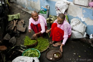 Portrait of laughing burmese nuns, preparing vegetables, Sagaing Hill