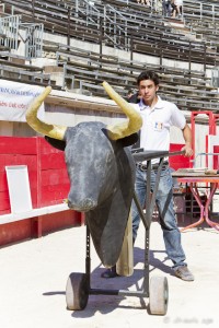 A papier-mâché and wooden bull-head on wheels, controlled by a young man, Les Arènes de Nimes