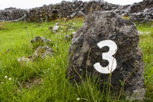 A rock painted with a number 