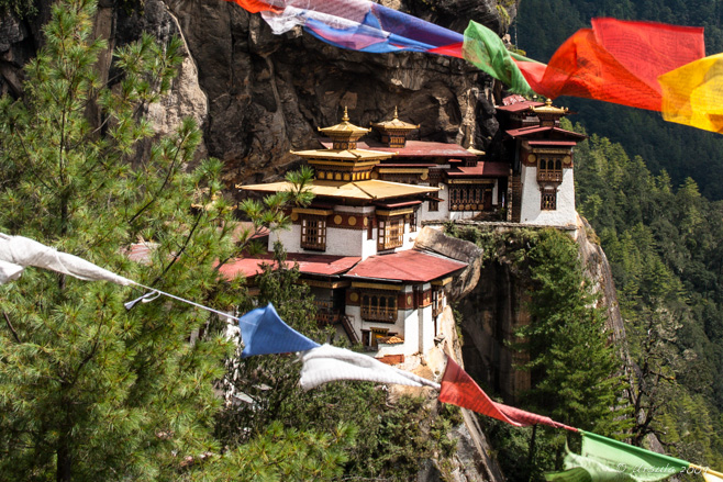 Paro Taktsang, Tiger