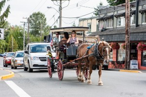 A horse-drawn carriage driven by a woman through Chemainus streets, BC, Canada