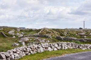 Stone Fences - Galway Ireland