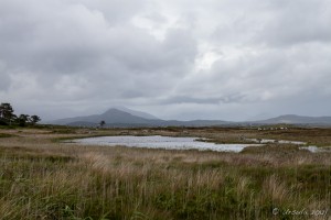 Landscape: Connemara Bog, Ireland