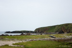 An Irish Currach, upside down on a rocky shore, Galway.