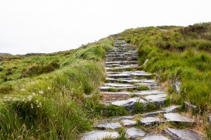 Wet paving stones lead up Diamond Hill, Connemara National Park