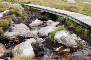 Wooden walkway over a small creek, Connemara National Park