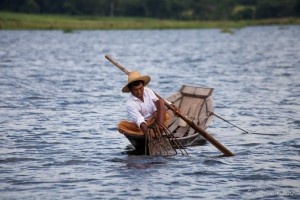 Leg Rowing Fishermen retrieving a woven fish net, Inle Lake, Myanmar