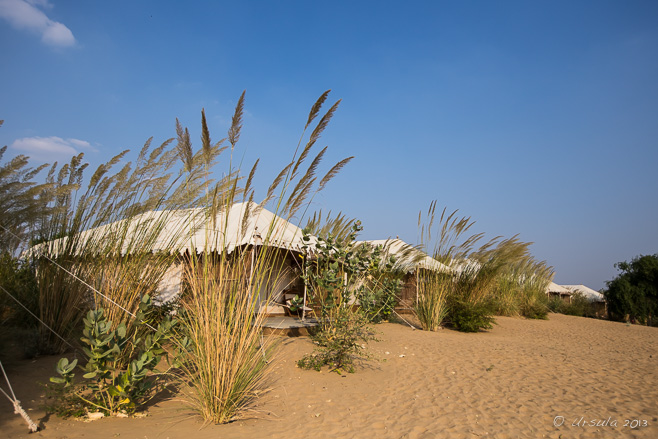 Outside view of tents, Manvar Desert Camp & Resort, Dechu India