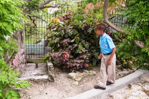 A Boy in school uniform and a Puppy, Nassau the Bahamas