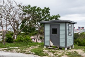 Small dog on the stoop of a guardhouse, Fort Fincastle, Nassau