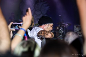 Michael Franti in the Crowd, Bluesfest 2014, Byron Bay