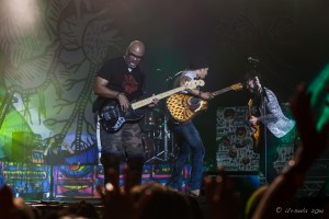 Carl Young on stage at Byron Bay Bluesfest 2014.