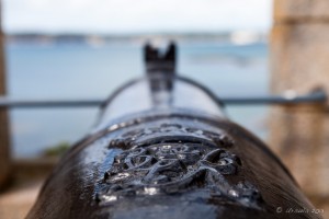 Cannon Insignia, Elizabeth Castle Jersey