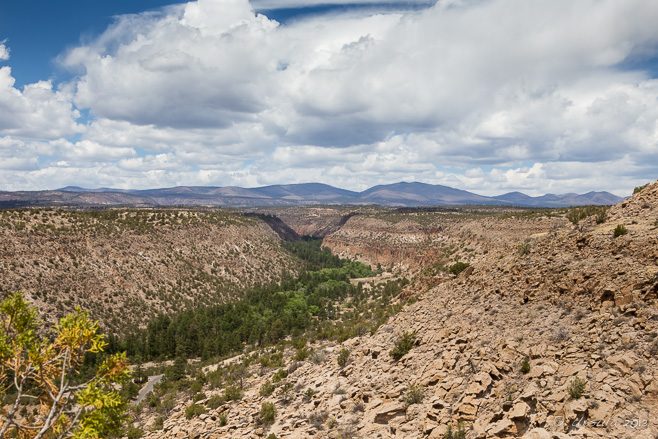 Landscape: New Mexico Vista
