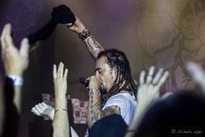Michael Franti in the Crowd, Bluesfest 2014, Byron Bay