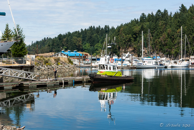 Green tugboat tied up on a sunny day, Nanaimo, BC