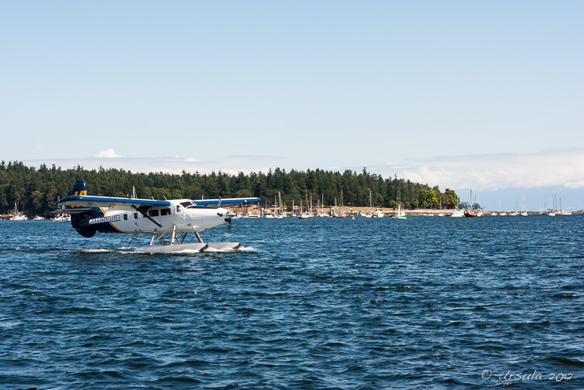 Harbour Air DHC-3, Newcastle Island Passage, BC