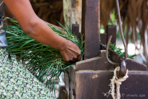 Chopping Grass
