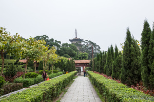 Looking across the Gardens at the Kaiyuan Temple to the West Pagoda, Quanzhou China