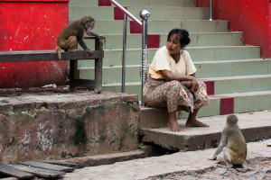 A woman and two Rhesus macaques on the Stoop of a Popa home, Myanmar