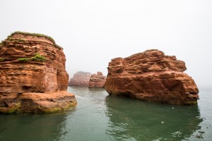 Rock stacks in Ladram Bay