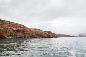 The Coast