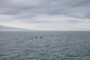 Sea Kayaks on the English Channel, East Devon UK