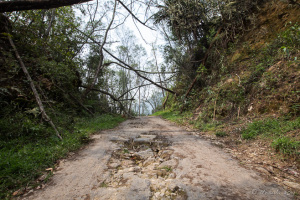 Rutted dirt road, Mount Sibayak, North Sumatra, Indonesia