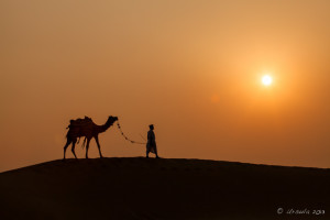 A Rajasthani walking his camel silhouetted against a sunset, Thar Desert, India