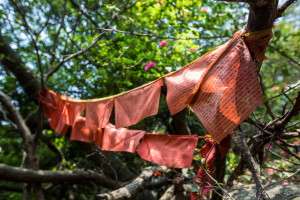 Red buddhist prayer flags in the woods, Nan Putuo Temple, Xiamen, Fujian Province, China