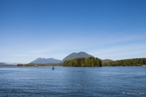 Waters around Tofino BC.