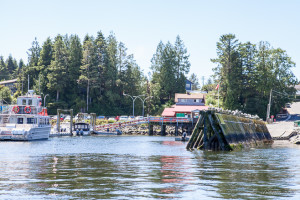 Waters around Tofino BC.