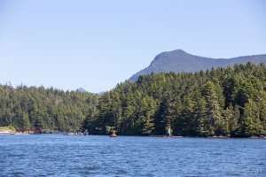 Waters around Tofino BC.