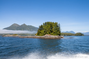View of Clayoquot Sound waters, BC