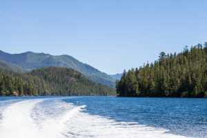 Landscape: Waters and mountains around Clayoquot Sound, BC