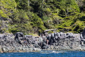 Landscape: Hot Springs Cove from the water, Clayoquot Sound, BC.
